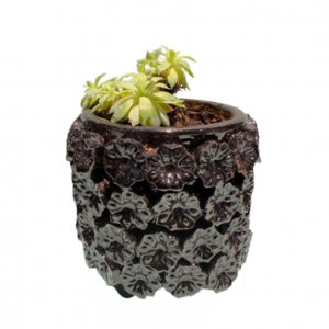 Maceta con planta diseño de flor