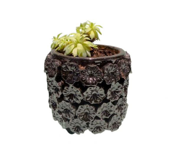 Maceta con planta diseño de flor