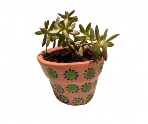Maceta con planta