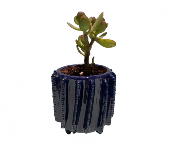 Maceta con planta diseño punteado