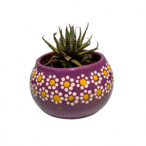 Maceta con planta , diseño capulineado
