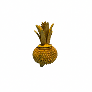 Piña de San Jose de Gracia 17cm